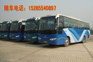 巢湖到箕皋汽车站多少钱(巢湖到箕皋汽车站的价格解析)