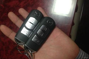 汽车电子锁门多少钱一扇(汽车电子锁门的价格研究，多少钱一扇？