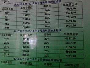 汽车保险第二年交多少(汽车保险第二年交多少，深度解析与影响因素)