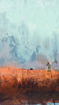 华为电脑换背景怎么换的(华为电脑背景更换指南，轻松变换你的桌面风景)