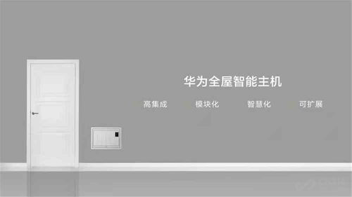 华为怎么把照片导进电脑(华为智能手机与电脑的完美联动，照片导入电脑的详细指南)