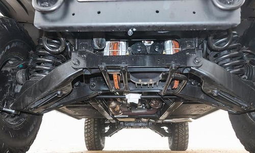 汽车底盘有螺杆吗多少钱(汽车底盘螺杆解析，存在、作用与价格探讨)