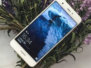 华为nova怎么用电脑读相册(华为nova手机与电脑同步,如何轻松读取相册) 华为nova怎么用电脑读相册(华为nova手机与电脑同步,如何轻松读取相册)