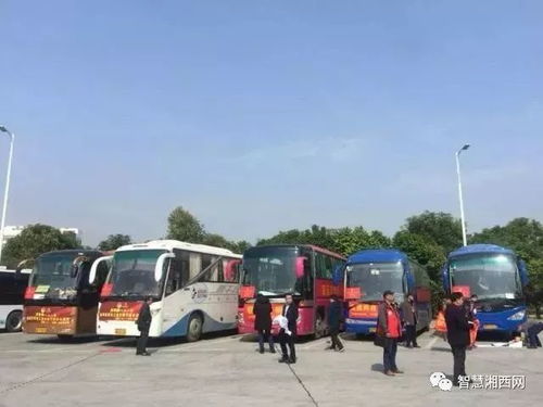 三乡到荔浦汽车站多少钱(三乡到荔浦汽车站的价格详解)