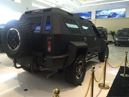 汽车装甲漆多少钱一吨啊(汽车装甲漆价格解析，多少钱一吨？