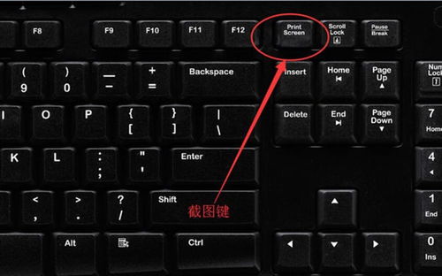 怎么找到华为电脑截屏键(如何找到华为电脑的截屏键，详细指南)