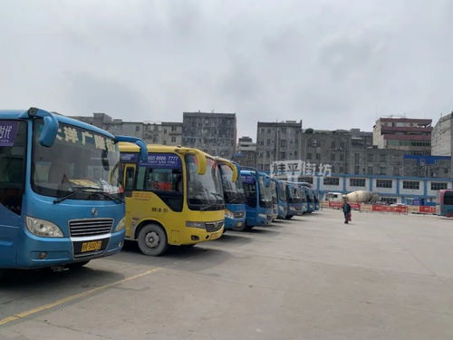 桂平城北汽车站电话多少(桂平城北汽车站电话多少，详细指南)