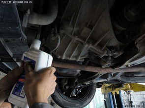 一辆汽车上有多少齿轮油(一辆汽车上有多少齿轮油—深度解析汽车齿轮油的种类与数量)