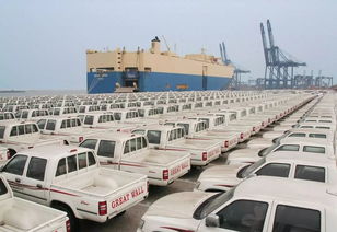 长城汽车技术中心多少人(揭秘长城汽车技术中心，人才济济的创新高地)