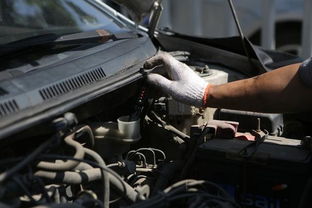 汽车油盖开后加多少号油(汽车油盖开启后应加注的油号，理解与选择)