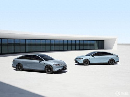 深圳汽车顶配多少钱一个(深圳汽车顶配价格解析，多少钱一个？