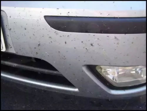 汽车保险杠补漆用多少漆(汽车保险杠补漆所需漆量详解)