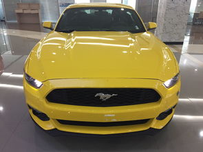 开州野马汽车4s多少钱(开州野马汽车4S店的价格解析)