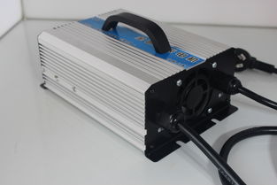 汽车一个充电器多少钱(汽车充电器价格解析，多少钱才是合理的选择？