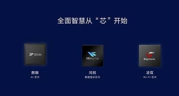 华为智慧屏怎么秒变电脑(华为智慧屏秒变电脑，探索科技与生活的无限可能)