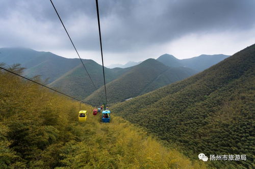 永川到竹海汽车站多少钱(永川到竹海汽车站的价格，探寻旅程的费用与细节)