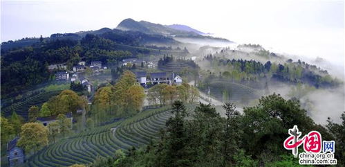 永川到竹海汽车站多少钱(永川到竹海汽车站的价格，探寻旅程的费用与细节)
