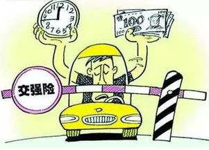 家用汽车保险费是多少钱(家用汽车保险费究竟是多少？全面解析费用构成因素)