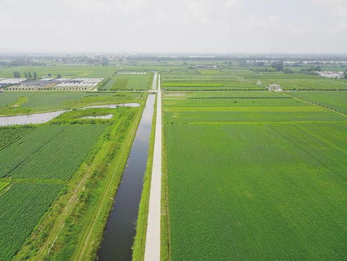 山东一地高标准农田旁现危废填埋场?山东一地高标准农田旁惊现危废填埋场，环境与农业的双重挑战)