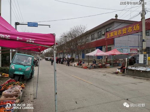 铜川到王桥汽车站多少钱(铜川到王桥汽车站的价格,交通成本与选择的艺术) 铜川到王桥汽车站多少钱(铜川到王桥汽车站的价格,交通成本与选择的艺术)