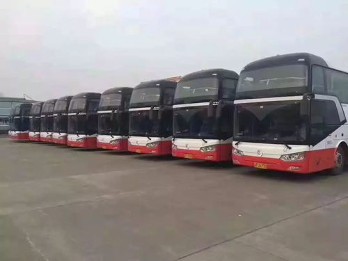 温岭回万州汽车票多少钱(温岭至万州汽车票价详解，探寻车票价格的背后)