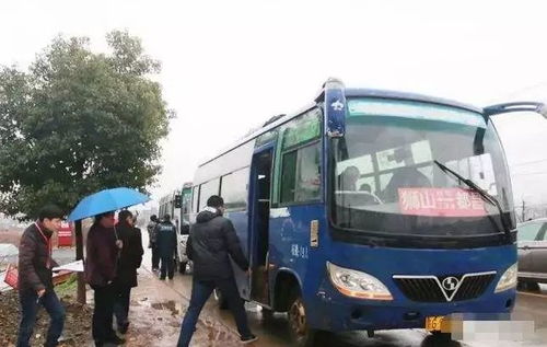 九江到浠水的汽车多少钱(九江至浠水汽车票价详解，费用、时间与选择)