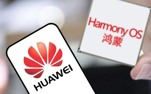 华为电脑怎么排灰尘的啊(华为电脑排尘指南，轻松解决灰尘问题，让你的电脑焕然一新)