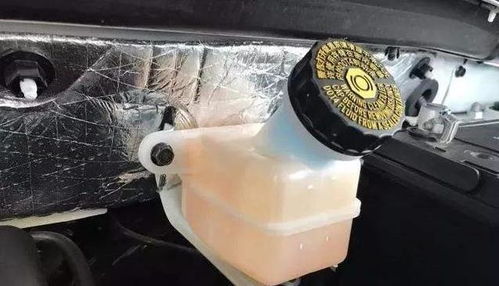 汽车换一次缸垫多少钱(汽车换一次缸垫需要多少钱?一篇文章解答你的疑惑) 汽车换一次缸垫多少钱(汽车换一次缸垫需要多少钱?一篇文章解答你的疑惑)