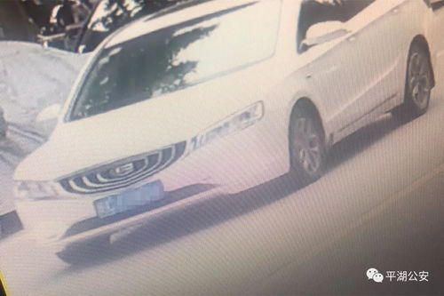 女生开汽车要多少钱一天(女生开汽车一天的费用分析)