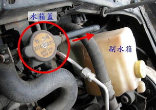 汽车冷却水多少钱一个(汽车冷却水价格解析，多少钱一个？