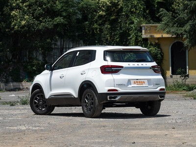 瑞虎5x汽车白漆多少钱(瑞虎5x汽车白漆价格解析)