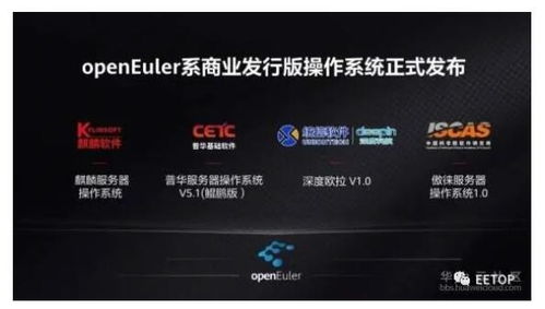 华为电脑跑代码怎么样(华为电脑跑代码体验，性能卓越，体验非凡)