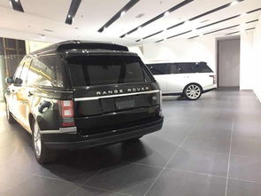 加长汽车能坐多少人一天(加长汽车能坐多少人一天，探讨其容量与日常运营考量)