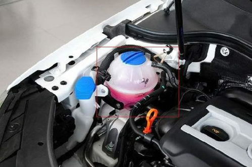 汽车首保换冷却液多少钱(汽车首保换冷却液的费用解析)