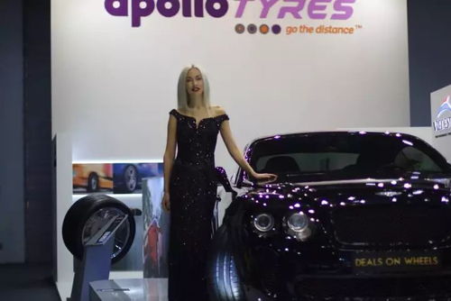 迪拜汽车改装多少钱一辆(迪拜汽车改装费用详解，价格因何而异？