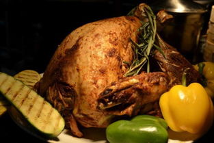 卤鹅哥为赴美见甲亢哥苦学英语(卤鹅哥苦学英语赴美国见甲亢哥)