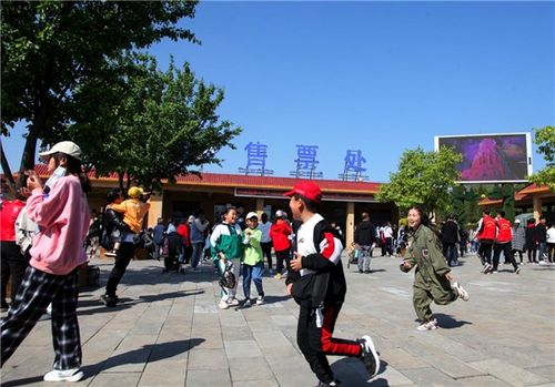 小汽车的保险费是多少钱(小汽车的保险费是多少钱—全面解读汽车保险费用)