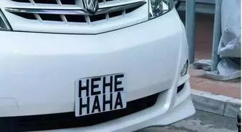 矫正汽车车牌多少钱一个(矫正汽车车牌价格详解，多少钱一个？