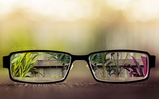 汽车驾驶眼镜一般多少钱(汽车驾驶眼镜价格解析，多少钱一副？