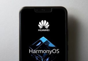 华为鸿蒙os系统电脑怎么下载(华为鸿蒙OS系统电脑下载指南)