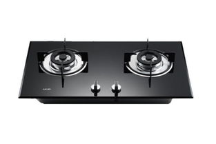 汽车用的天然气灶多少钱(汽车用天然气灶价格解析，多少钱才是合理的选择？