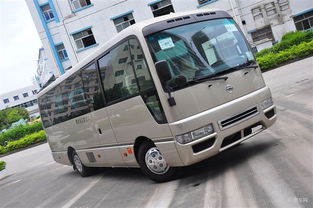 尼桑碧莲汽车价值多少钱(尼桑碧莲汽车的价值解析)