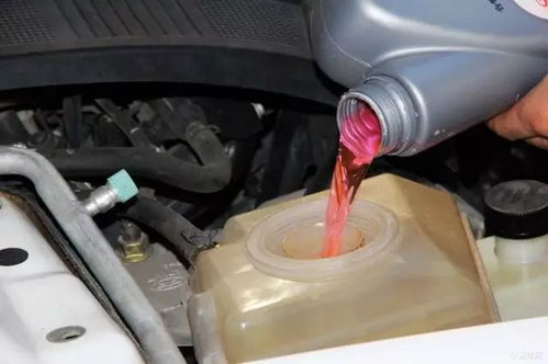 汽车更换防冻液管多少钱(汽车更换防冻液管费用详解)