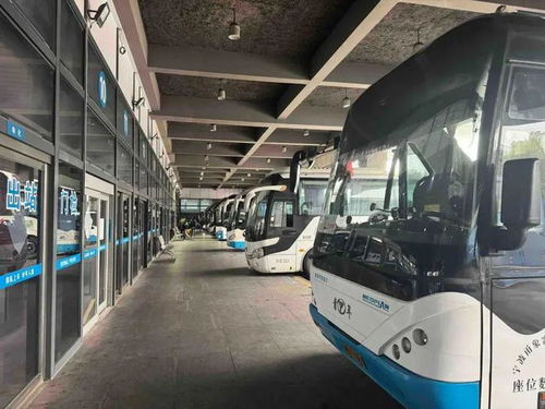 宁波到泗门汽车站多少钱(宁波到泗门汽车站的价格详解)