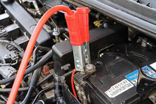 汽车尾气筒多少度会冻坏(汽车尾气筒温度与冻坏现象解析)