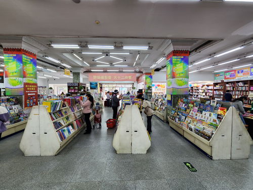 这里有多少个汽车玩具店(探索城市中的汽车玩具店，数量与魅力)