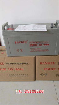 汽车蓄电池多少钱一千克(汽车蓄电池价格解析，多少钱一千克？