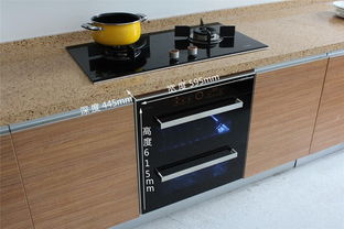 汽车消毒柜一年费用多少(汽车消毒柜一年费用详解，成本与效益的权衡)