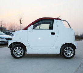 试驾宝雅电动汽车多少钱(宝雅电动汽车试驾体验及价格探讨)