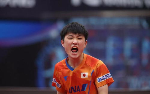 樊振东已加盟德甲联赛(樊振东加盟德甲联赛，国乒新篇章的开启)